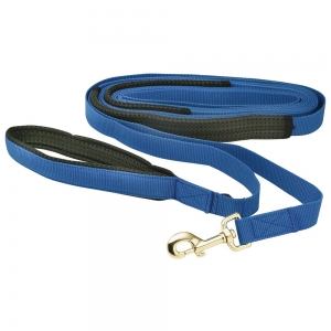 FLAT NYLON DOG RECALL LEAD Blue (1" x 7M Long)